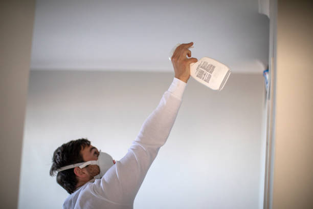 Best Same-Day Mold Removal  in Chariton, IA