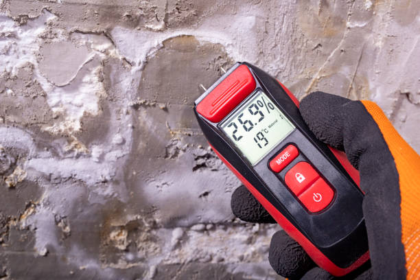 Best Mold Damage Repair  in Chariton, IA