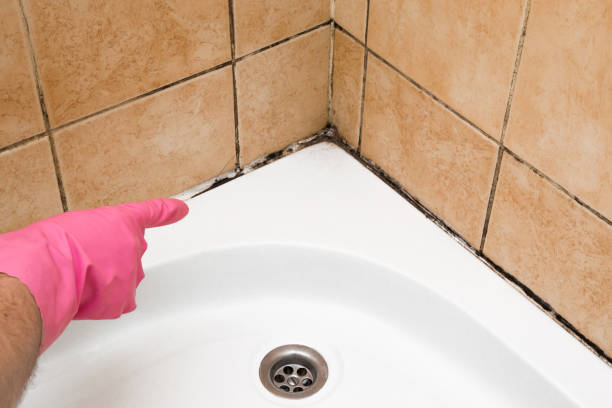 Best Mold Testing  in Chariton, IA